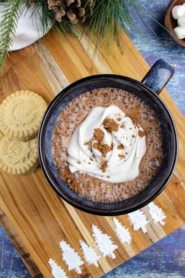 Vegan Hot Cocoa