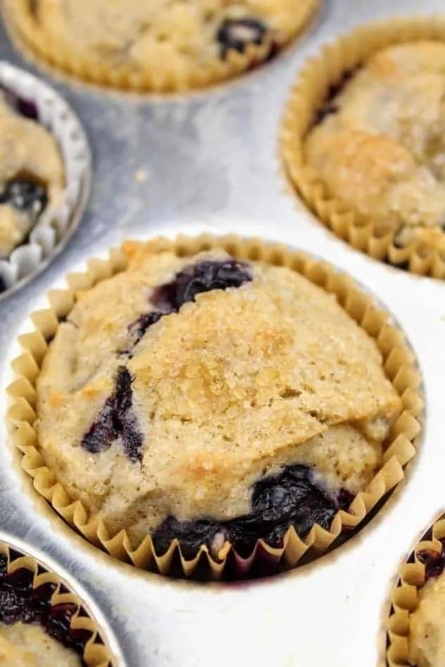 Vegan blueberry muffins sit in the muffin pan after being baked. The tops are golden brown, puffed, and rounded.